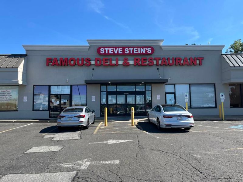 Steve Stein’s Famous Deli, Philadelphia