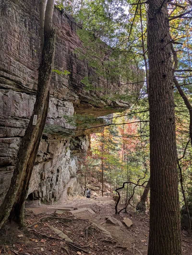 Stone Door - Savage Gulf Stone Door - Savage Gulf