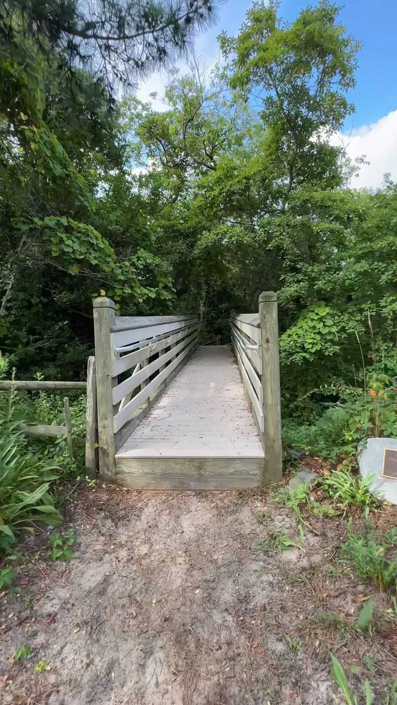 Stone Harbor Bird Sanctuary - Stone Harbor