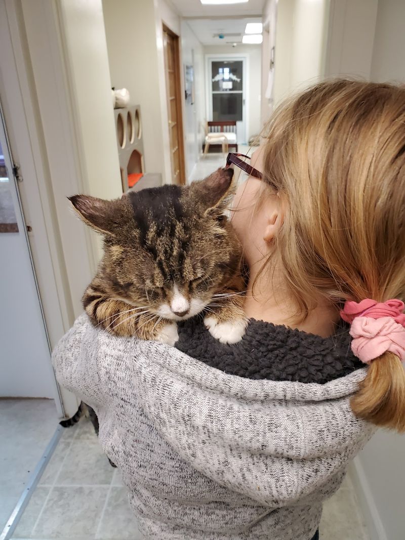 Stories of Special-Needs Cats Find Room Here