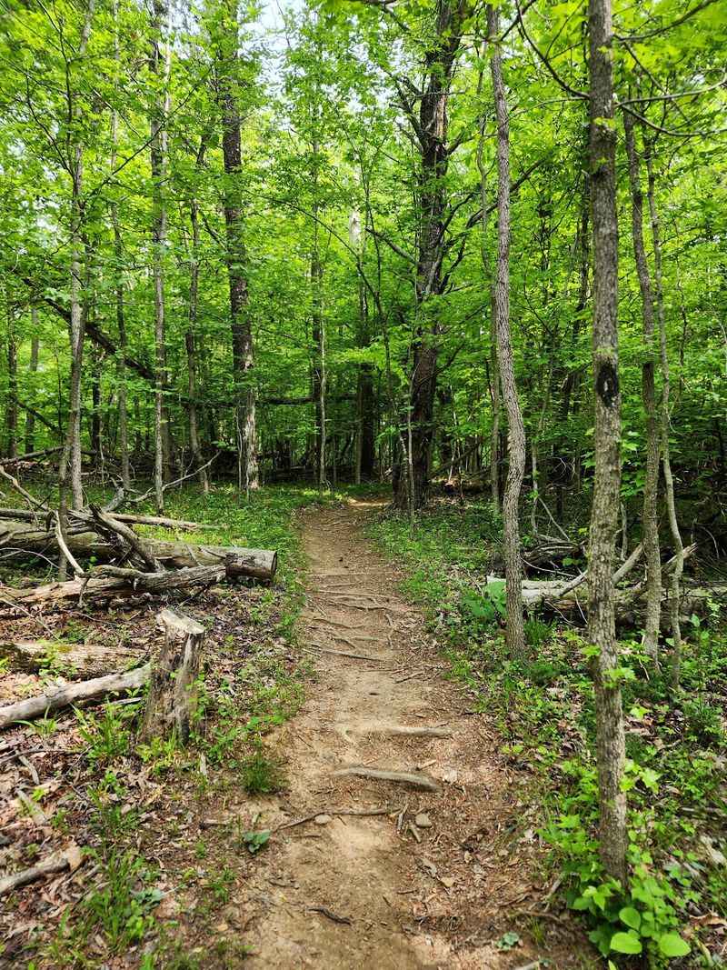Storybook Trail - Warriors' Path State Park, Kingsport Storybook Trail - Warriors' Path State Park, Kingsport