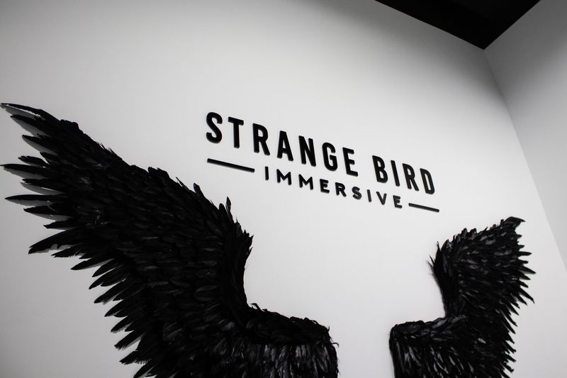 Strange Bird Immersive: The Man From Beyond Strange Bird Immersive: The Man From Beyond