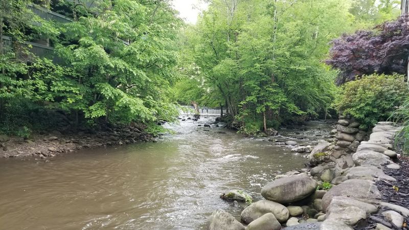 Stroll Along River Road