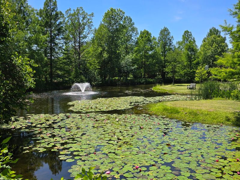 Stunning Water Features and Koi-Filled Ponds Everywhere You Look Stunning Water Features and Koi-Filled Ponds Everywhere You Look