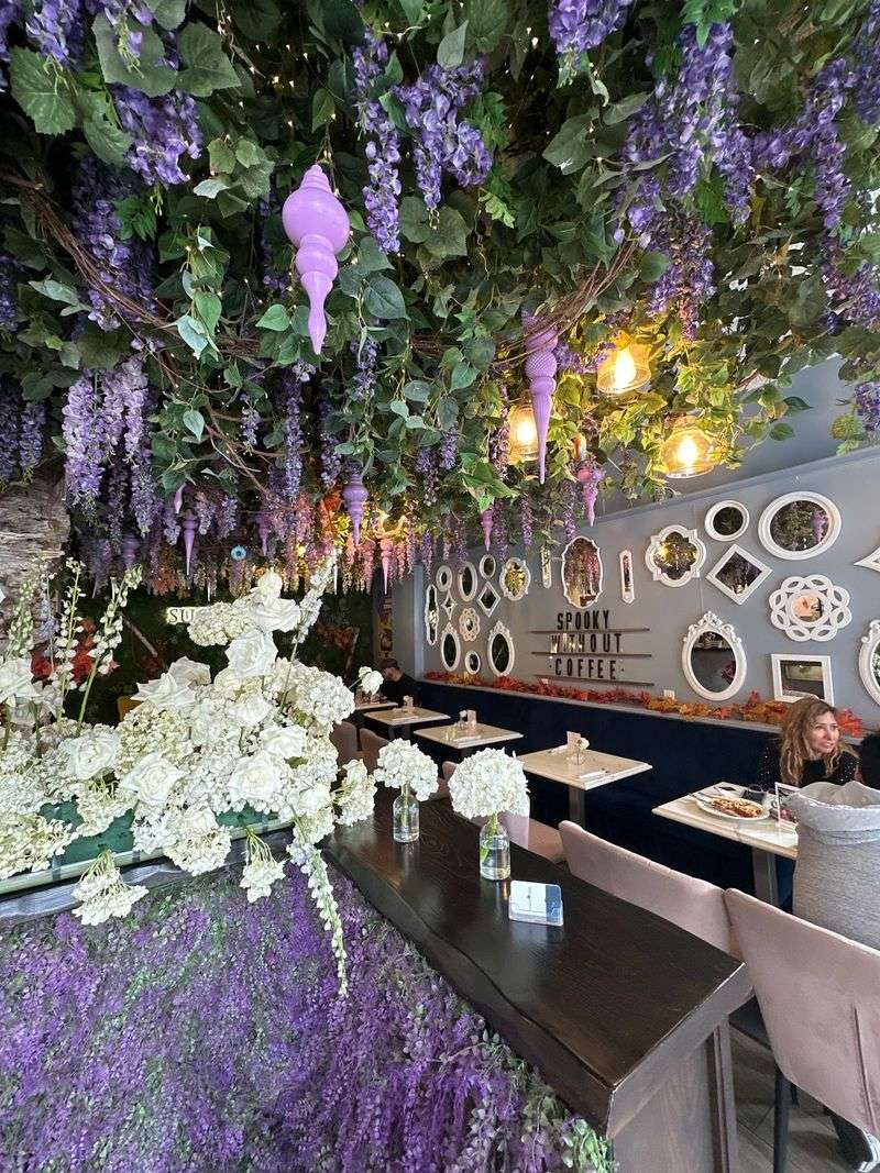 Sugar Tree Café - Nutley