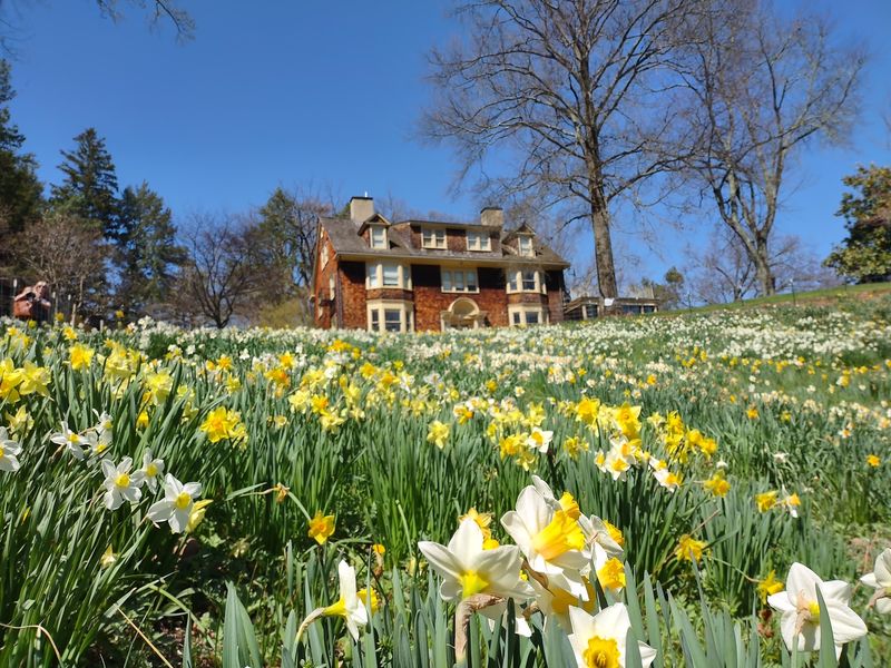 Summit: City Connections With Backyard Energy
