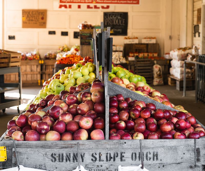 Sunny Slope Market & Orchard, Navarre