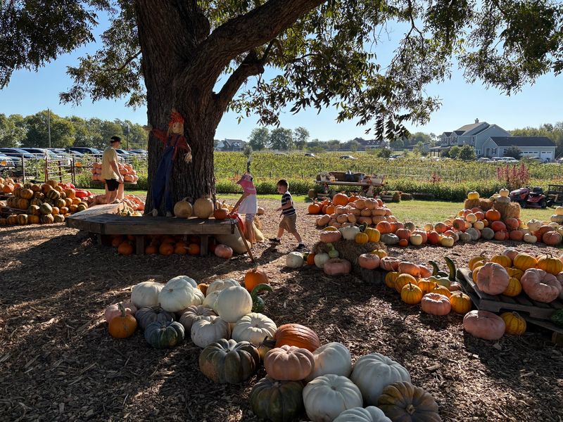 Sunset Trail Farm (McKinney)
