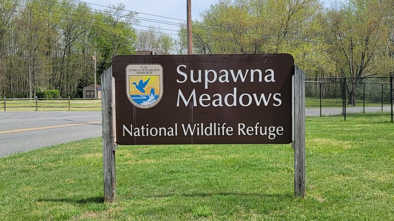 Supawna Meadows National Wildlife Refuge - Pennsville