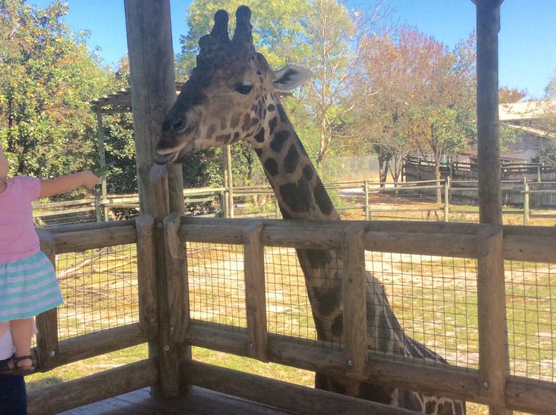 Supporting Zoo Knoxville's Mission Supporting Zoo Knoxville's Mission