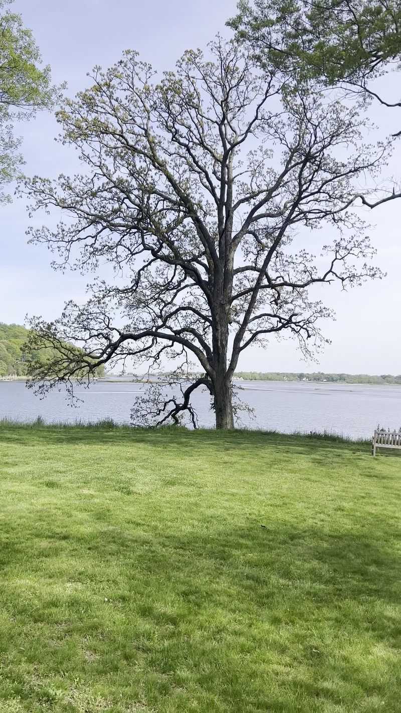 Sweeping Navesink River Views Made the Property an Artistic Retreat Sweeping Navesink River Views Made the Property an Artistic Retreat