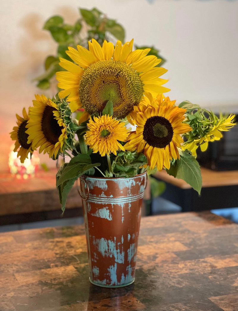 Sweet Eats Fruit Farm (Georgetown)
