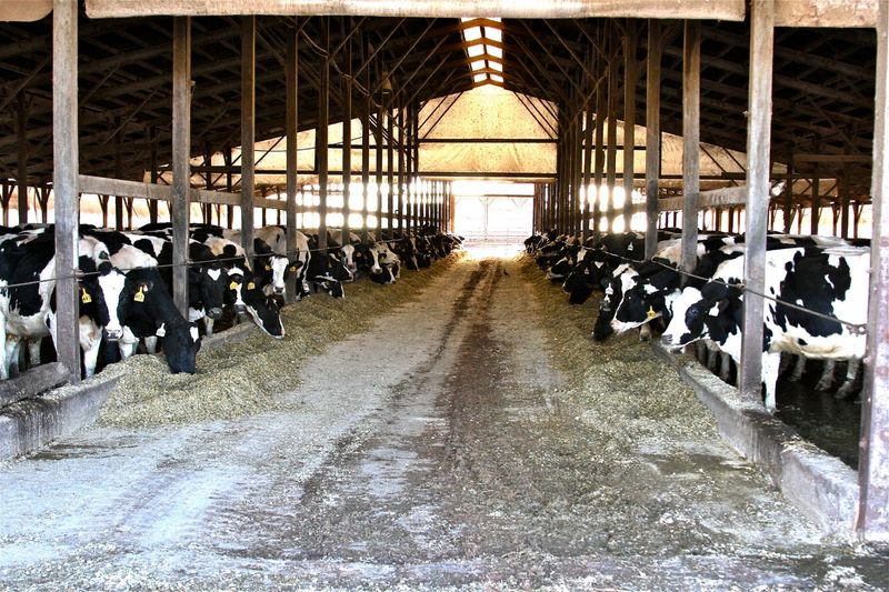 Sweetwater Valley Farm in Philadelphia