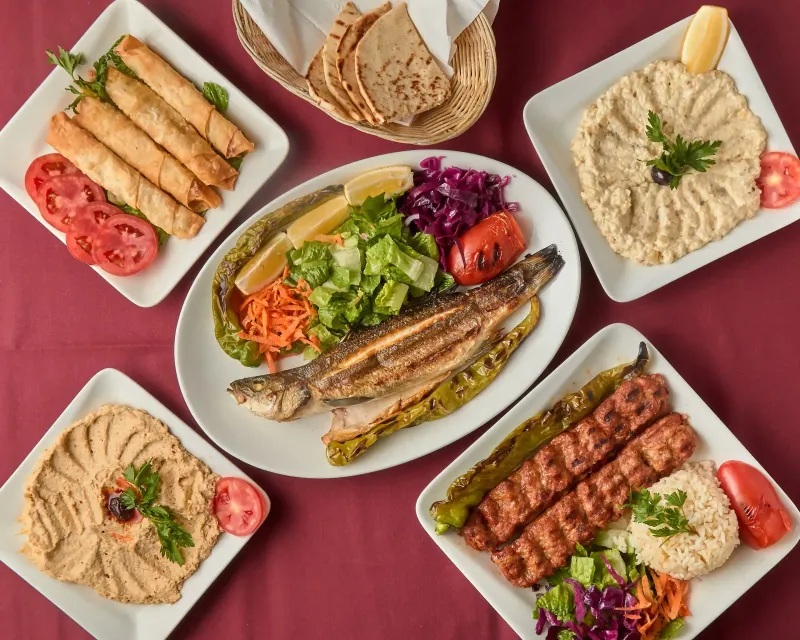 TAC Mediterranean Cuisine - Levittown TAC Mediterranean Cuisine - Levittown
