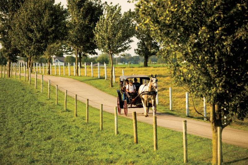 Shipshewana and Nappanee Amish Country (Shipshewana/Nappanee)