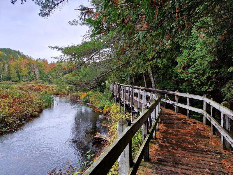 Tahquamenon Falls State Park - Paradise, Michigan Tahquamenon Falls State Park - Paradise, Michigan