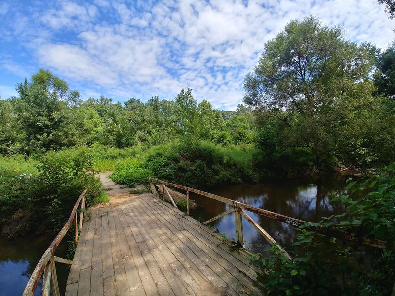Tall Pines State Preserve - Sewell