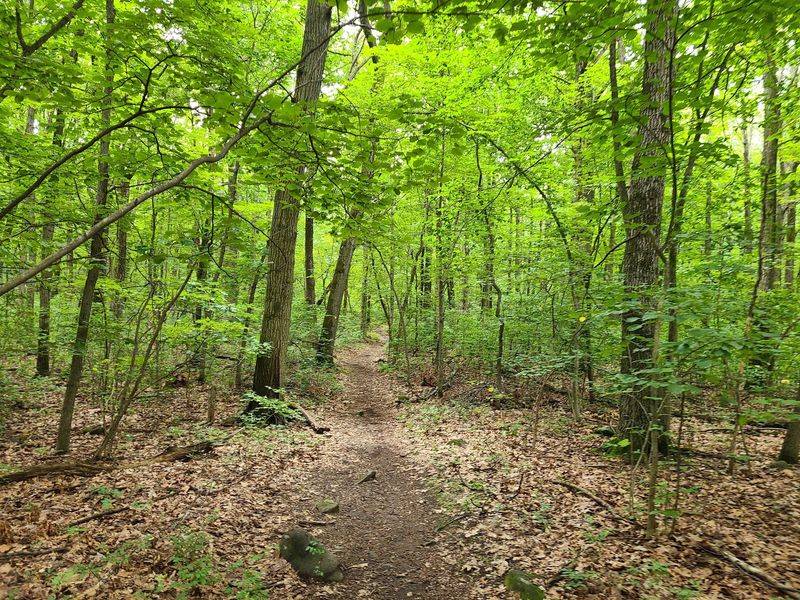 Tenafly Nature Center - Tenafly Tenafly Nature Center - Tenafly
