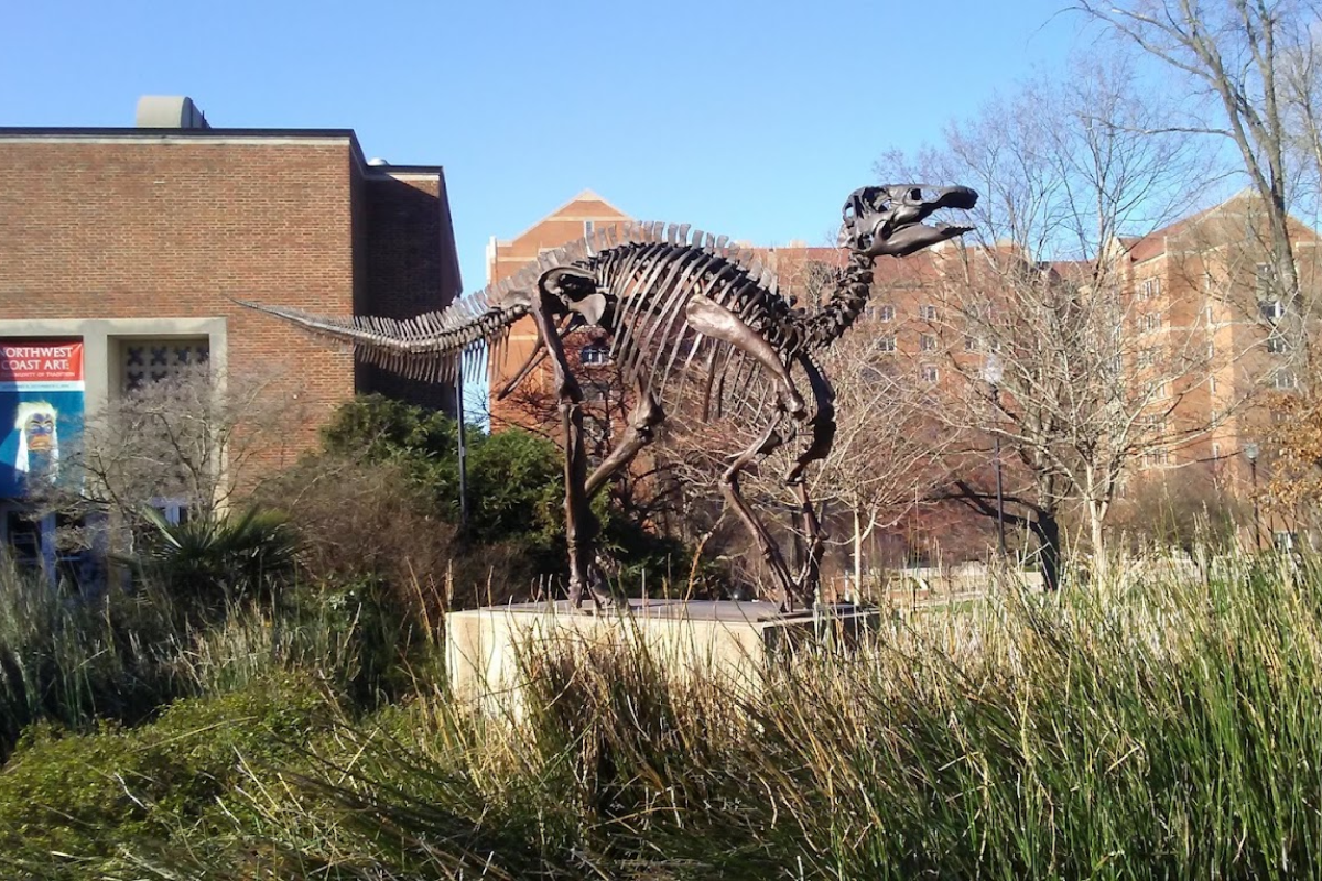 Tennessee Is Full of Free Museums - These 10 Deserve a Spot on Your List
