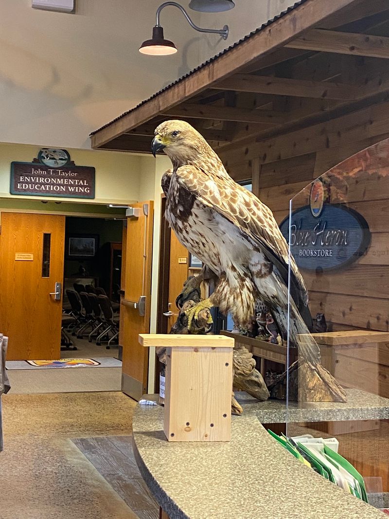 Tennessee National Wildlife Refuge Visitor Center - Springville Tennessee National Wildlife Refuge Visitor Center - Springville