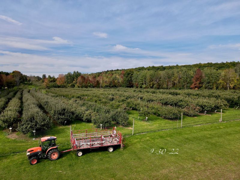 Terrace Mountain Orchard