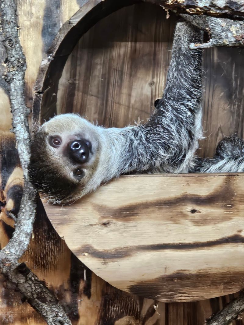 Texas Wildlife Park & Education Center (Mountain Home) Texas Wildlife Park & Education Center (Mountain Home)