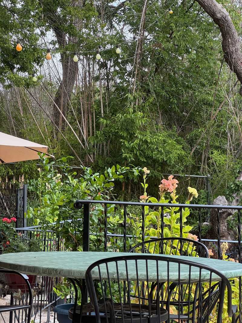 Thai Ocha (Kerrville)