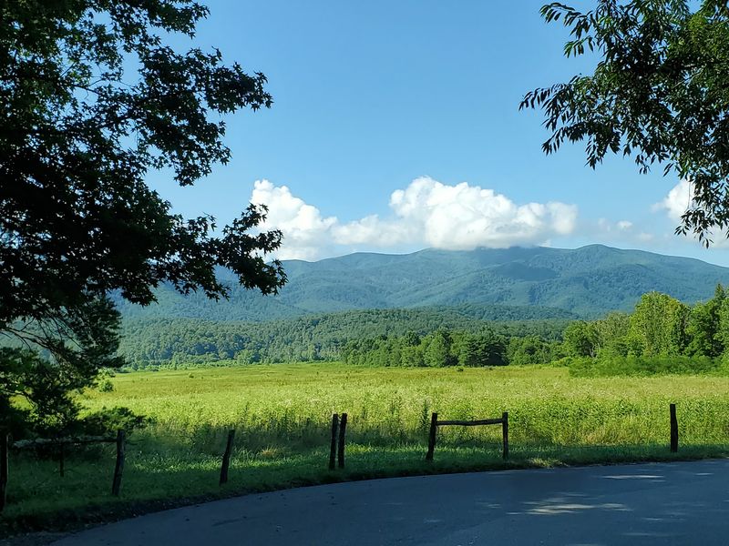 The Best Stops Are Worth Leaving the Car For The Best Stops Are Worth Leaving the Car For