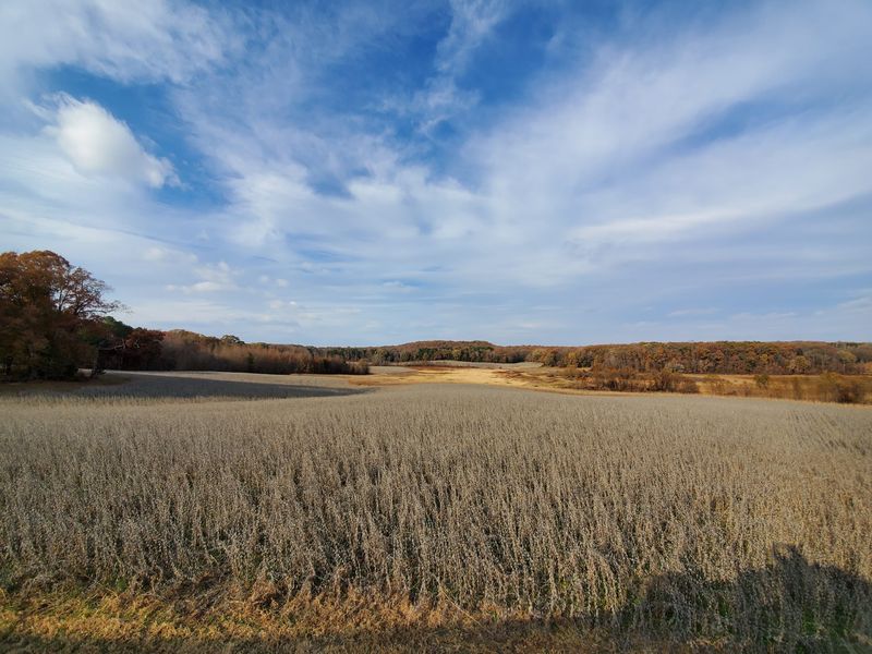 The Best Ways to Explore the Big Sandy Unit