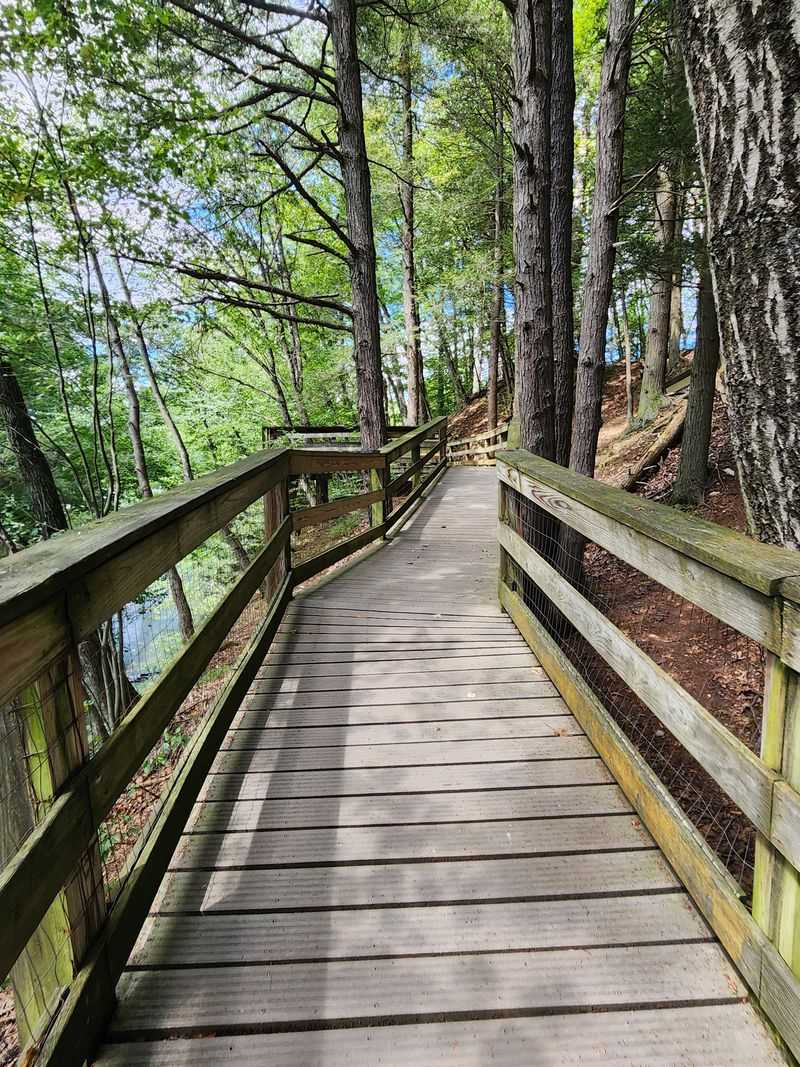 The Boardwalk Turns a Simple Stroll Into a Memory