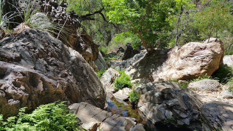 The Boulder Scramble Challenge The Boulder Scramble Challenge