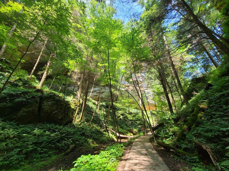 The Breathtaking 250-Foot Sandstone Gorge The Breathtaking 250-Foot Sandstone Gorge