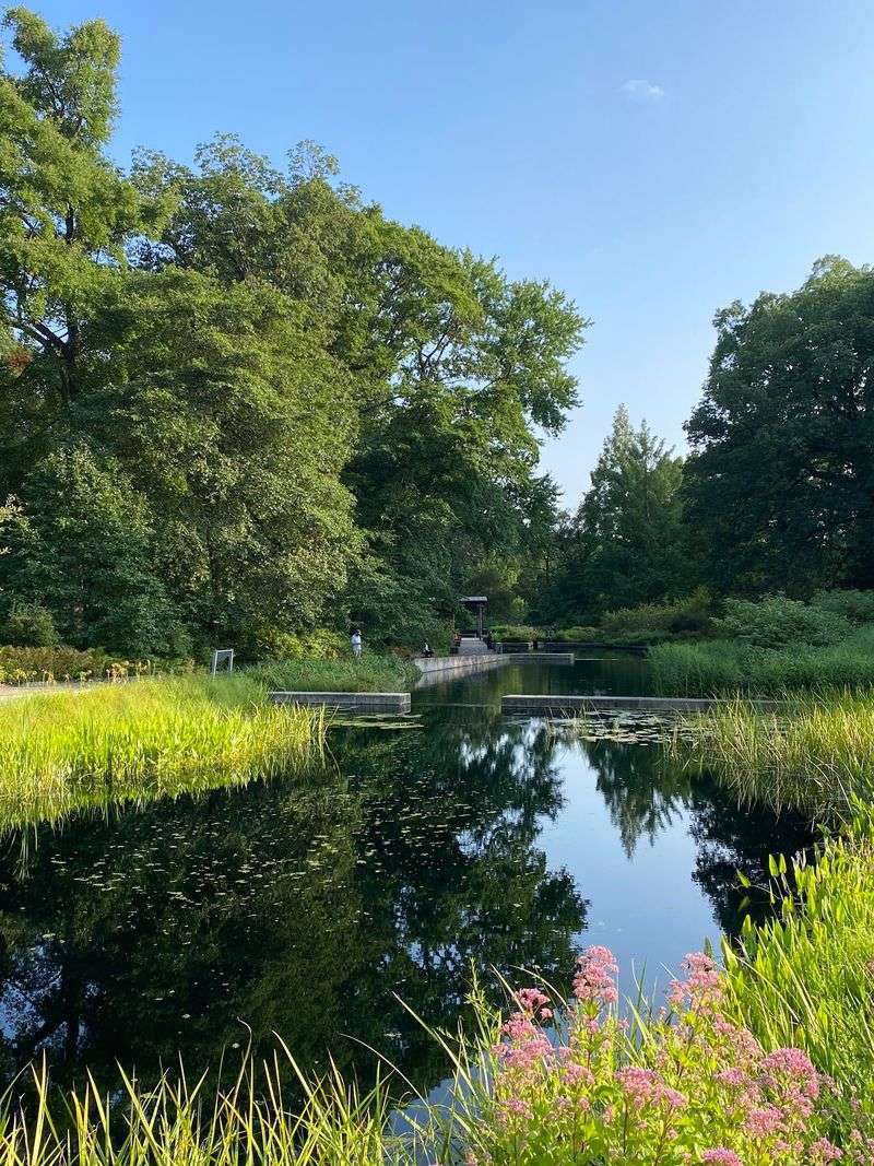 The Bronx River: A Stream Running Through Ancient Land The Bronx River: A Stream Running Through Ancient Land