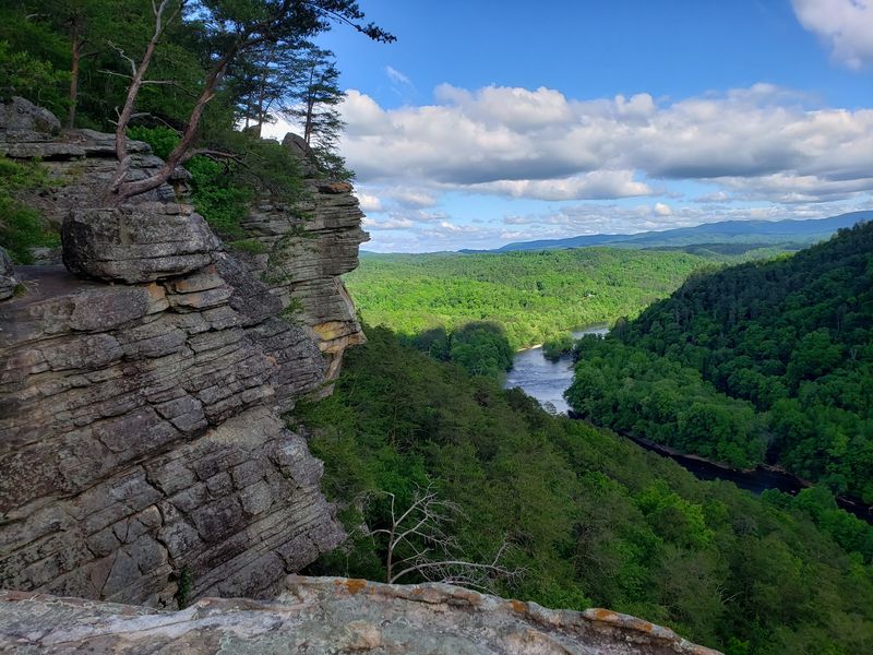The Cherokee National Forest Is Practically the Backyard The Cherokee National Forest Is Practically the Backyard