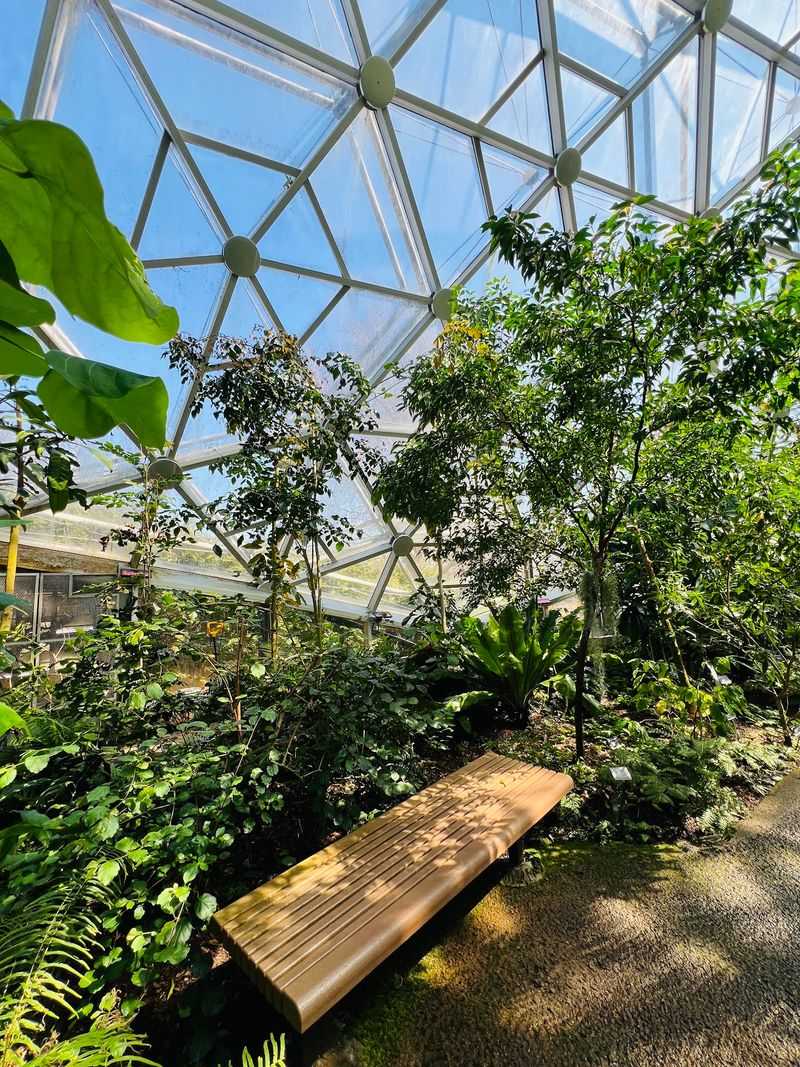 The Climatron Feels Like A Rainforest Vacation The Climatron Feels Like A Rainforest Vacation