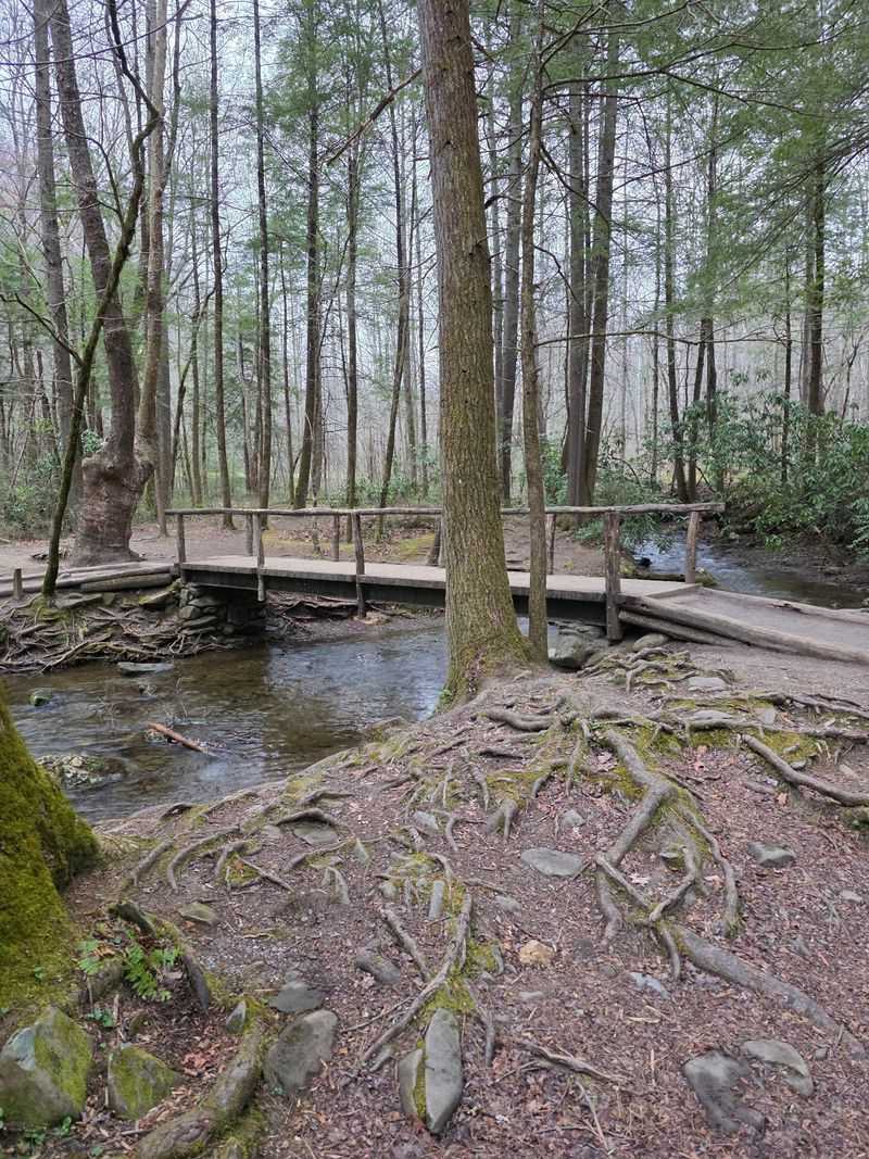 The Easiest Waterfall Access in the Smokies The Easiest Waterfall Access in the Smokies