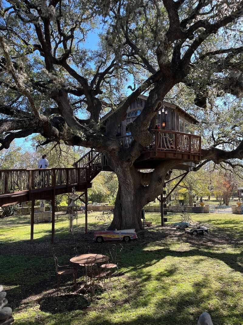 The Famous Treehouse Dining Experience