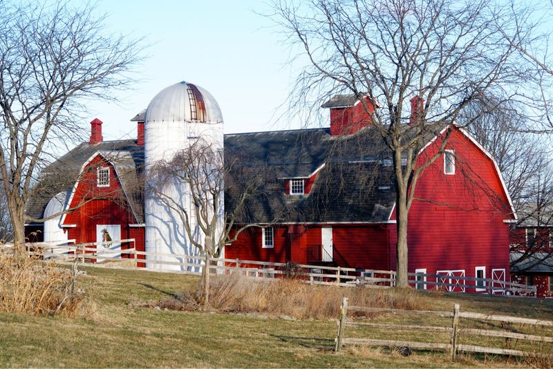 The Farm's Dairy Past Gives Every Ride a Sense of History