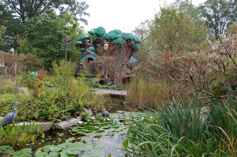 The Frog Pond and Nature Trail Adventure The Frog Pond and Nature Trail Adventure