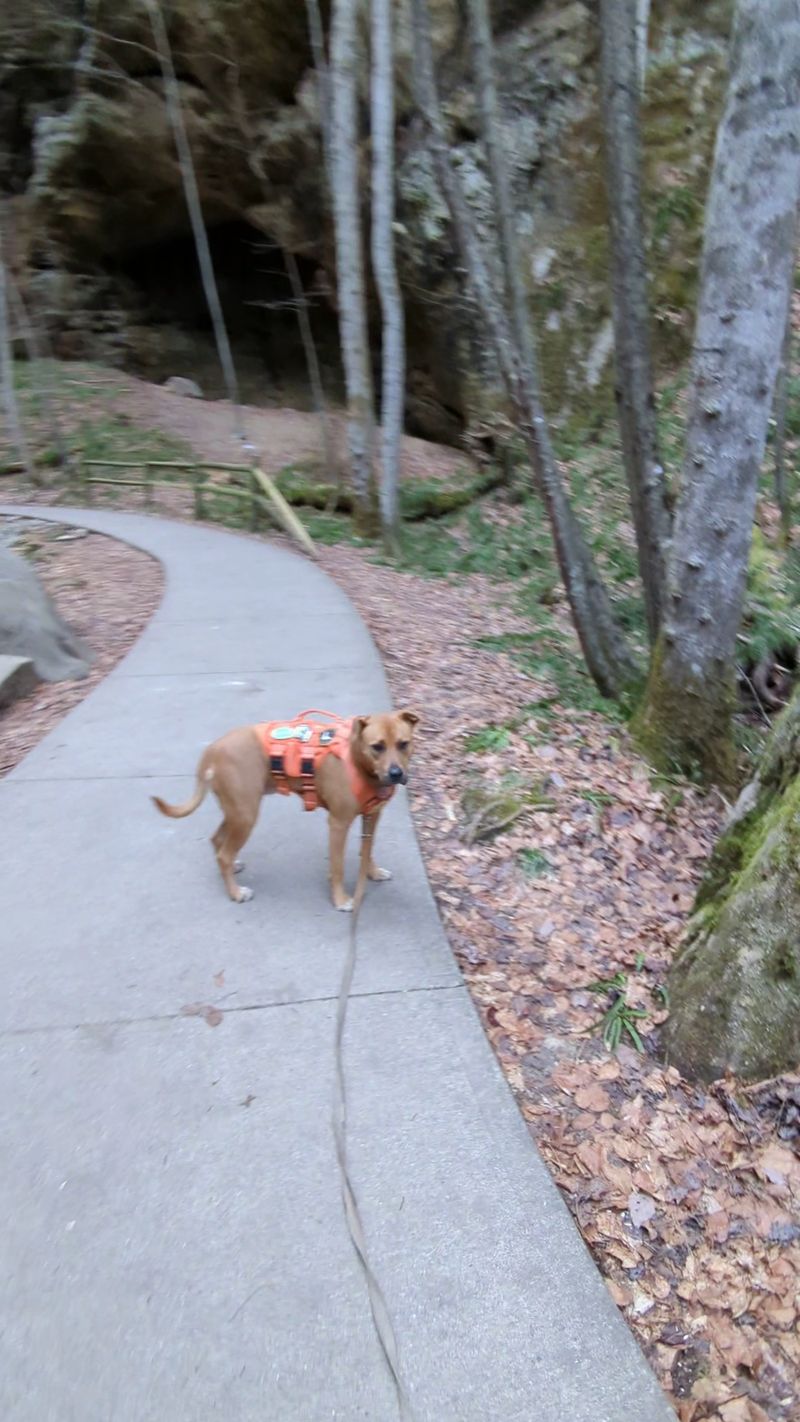 The Gorge Trail - Perfect for Beginners and Families The Gorge Trail - Perfect for Beginners and Families