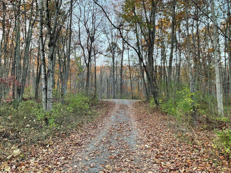 The Grand Loop Offers a Gentler Way to Explore The Grand Loop Offers a Gentler Way to Explore