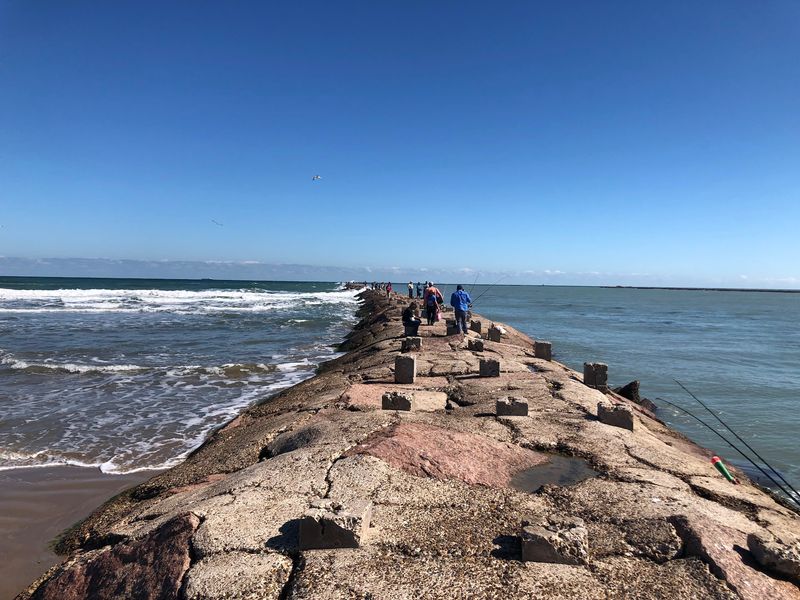 The Jetties Where Dolphins Come to Play