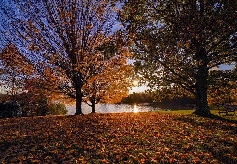 The Lake Looks Different in Every Season The Lake Looks Different in Every Season