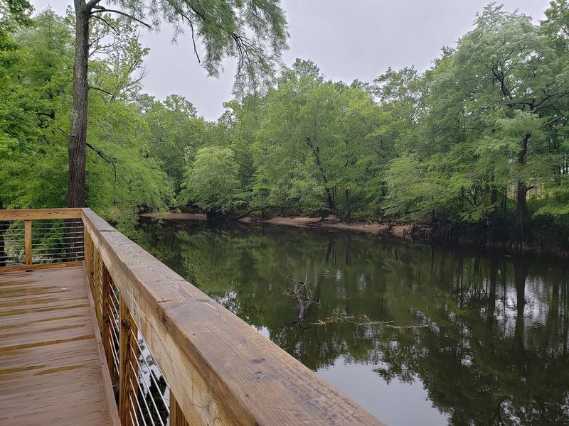 The Lumber River Gives the City Identity The Lumber River Gives the City Identity