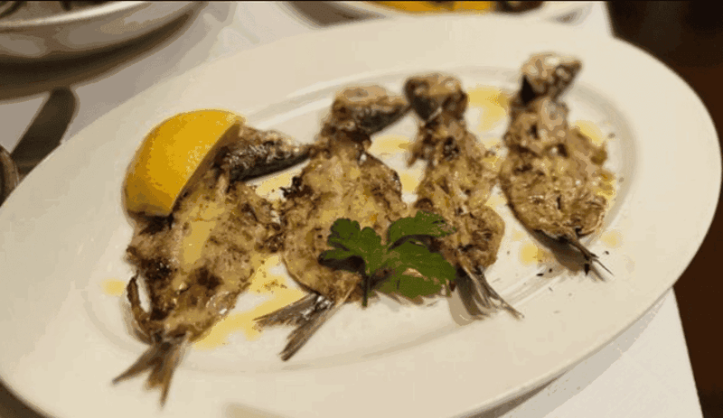 The Mediterranean Fish Program Stands Out