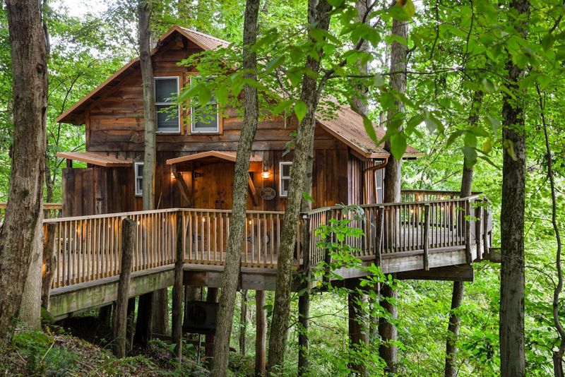 The Mohicans Treehouse Resort and Wedding Venue - Glenmont The Mohicans Treehouse Resort and Wedding Venue - Glenmont
