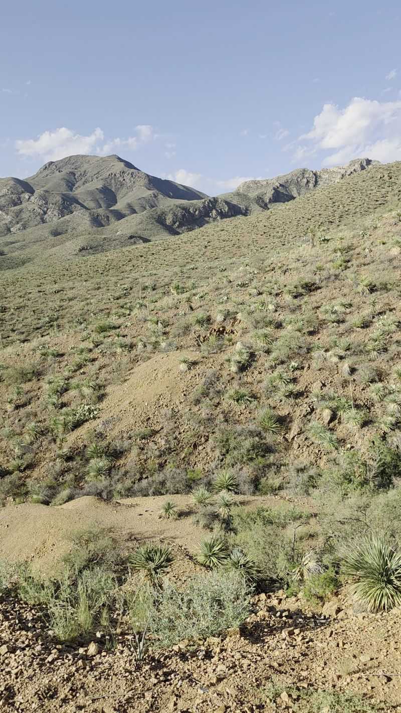 The Mostly Flat Trail That Surprises Everyone