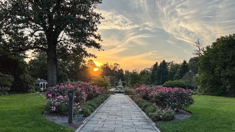The Perennial Garden Changes With Every Season