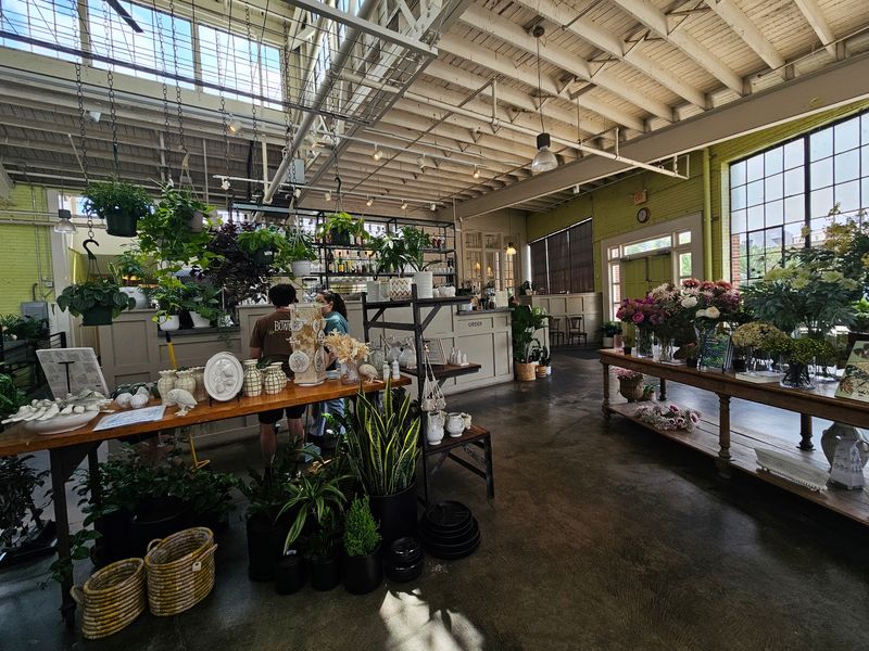 The Plant Shop Turns Brunch Into An Outing The Plant Shop Turns Brunch Into An Outing