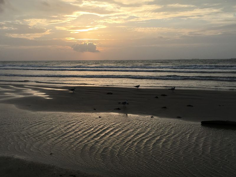The Reality of an Undeveloped Beach